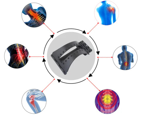 Civière dorsale orthopédique